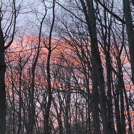 The Sanctuary At Deer Dune , Saugatuck Ngoại thất bức ảnh