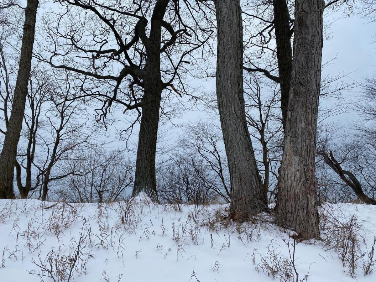 The Sanctuary At Deer Dune , Saugatuck Ngoại thất bức ảnh