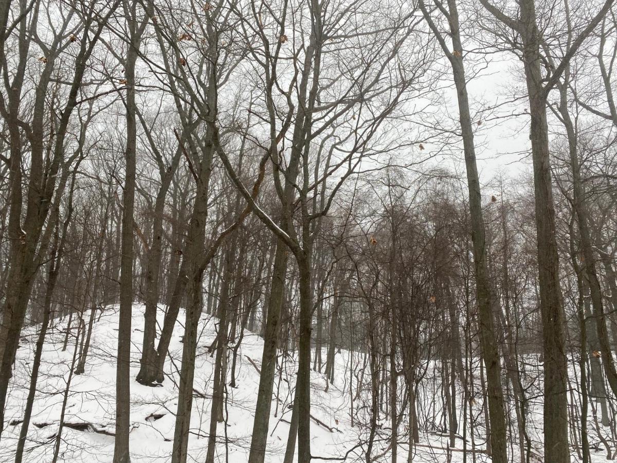 The Sanctuary At Deer Dune , Saugatuck Ngoại thất bức ảnh